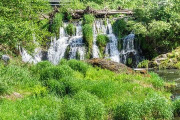 Waterfall And Grass