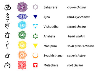 chakra list tantric hinduism buddhism vajrayana meditation yoga - obrazy, fototapety, plakaty