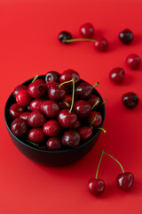 Freshly picked cherries in a black ceramic bowl. Bright red background, water drops, high resolution