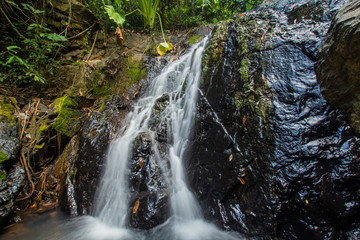 Ton Aow Yon Waterfall rich natural resources,in the forest,asia tropical areaat Island Phuket Thailand.