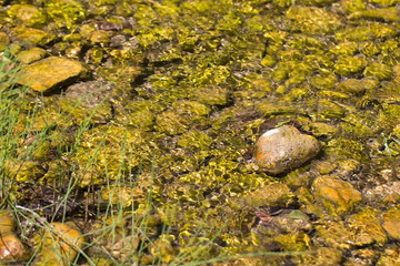 rocky shoal in the Crimean mountain river, sunny shallow water, warm stream