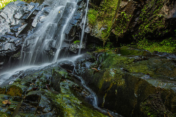 Ton Aow Yon Waterfall rich natural resources,in the forest,asia tropical areaat Island Phuket Thailand.