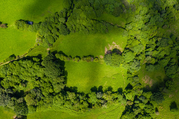Fototapeta premium Aerial drone view of beautiful green fields and farmland in rural South Wales