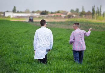 Farmer and agronomist talking in field