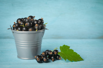 Bucket of black currant on a blue wooden background with copy space