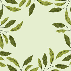 green leafs natural frame decoration