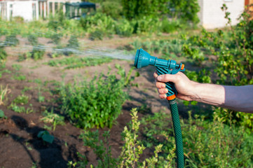 watering the garden with a hose