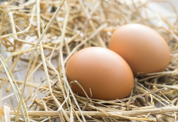 Close up group chicken eggs on straw with wooden and reflective sunrise .Fresh eggs from farm high nutrition healthy food for cooking with blurred background.
