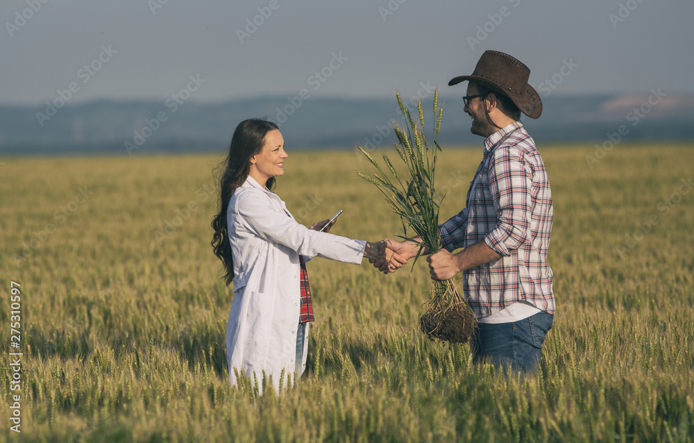 Wall mural farmer and agronomist shaking hands in field