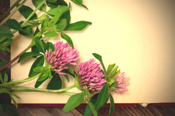 flowers in a vase