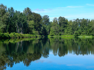 Fototapeta na wymiar Reflections of Trees in Twin Lakes in Arlington, WA