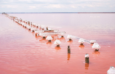 Fototapeta premium Pink salt lake in Crimea