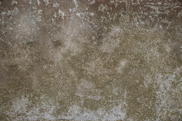 Metal green grunge dirty stained mold background texture