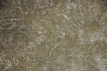 Obraz premium Metal green grunge dirty stained mold background texture