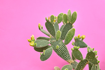 Trendy tropical Green Neon Cactus on Purple Color background. Fashion Minimal Art Concept. Creative...