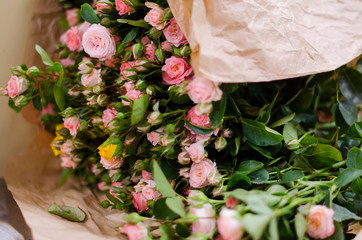 Small pink roses bouquet close up. Beautiful flowers.