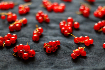 Red currants on dark blue background. Selective focus.