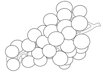 Outlines of a bunch of grapes