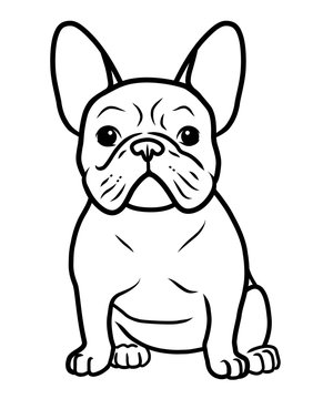 French bulldog black and white hand drawn cartoon portrait vector illustration. Funny french bulldog puppy sitting and looking forward. Dogs, pets themed design element, icon, logo, coloring book page
