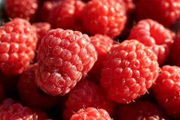 Sweet fresh  red raspberries background, copy space. Natural berry texture