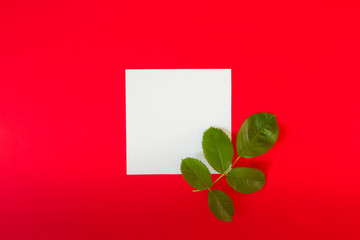 Creative arrangement of red flowers and leaves on a pastel red background with a paper card note. Blooming rose concept. Flat lay. Minimal nature.