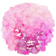 circular watercolour painting. pink, mulberry  and hot pink colors