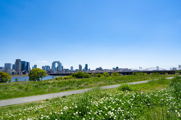 Obraz premium City Landscape in Osaka 