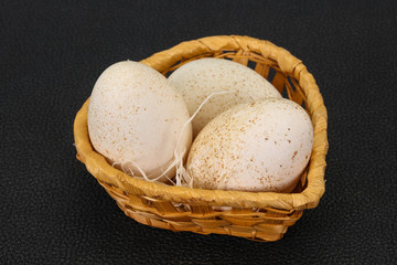 Three big raw turkey egg