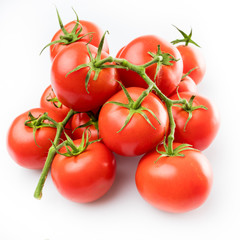 Tomato branch. Tomatoes isolated on white