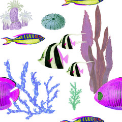 Hand drawn in watercolor sea world natural element. Corals reef fish seamless pattern on white background.