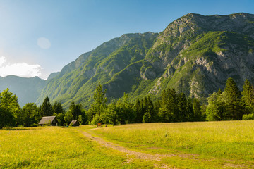 magnificent landscape of mountains in Slovenia, lake Bohinj