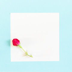 Creative arrangement of red flowers and leaves on pastel blue background wiyh paper card note. Blooming rose concept. Flat lay. Minimal nature.