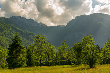 magnificent landscape of mountains in Slovenia, lake Bohinj