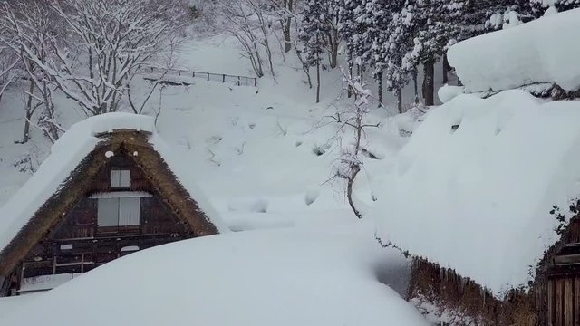 The traditionally thatched houses in Shirakawa-go where is the mountain village among the snow near Gifu, Ishikawa, and Toyama prefecture in the winter, Japan