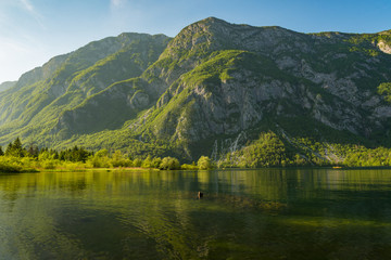 magnificent landscape of mountains in Slovenia, lake Bohinj
