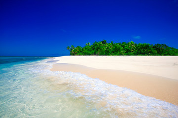 Tropical Island with a paradise beach and palm trees