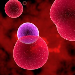 Naklejka premium T Cells attacking Cancer Cells- 3D illustration