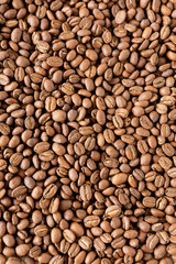 Coffee Bean Background