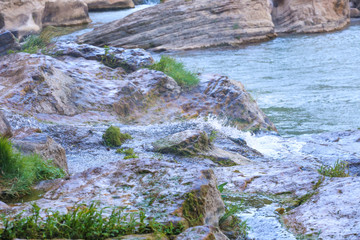 Steam in forest on rocks 