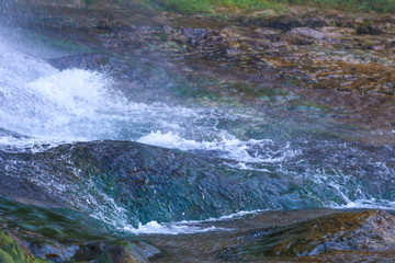 Steam in forest on rocks 