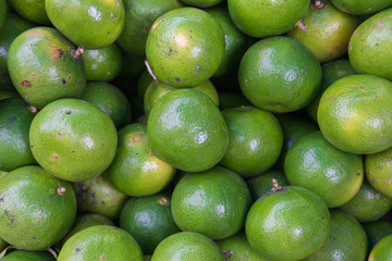 Lime or Common Lime , Mexica lime or Key lime