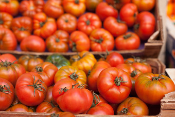 lots of tomatoes on a branch on counter
