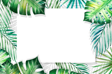 Fototapeta na wymiar Beautiful frame of tropical leaves. Monstera, palm. Watercolor painting. Exotic plant drawing. Copy and text space. Botanical composition. Greeting card. Painted background. Hand drawn illustration.