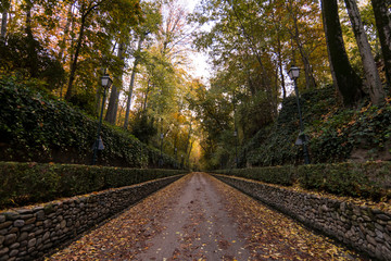 Forest of the Alhambra in Autumn, a special place in Granada (Spain) © Jorge Fuentes