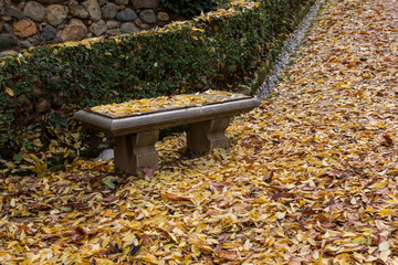 Forest of the Alhambra in Autumn, a special place in Granada (Spain) © Jorge Fuentes