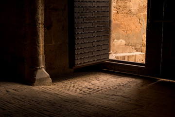 Forest of the Alhambra in Autumn, a special place in Granada (Spain) © Jorge Fuentes