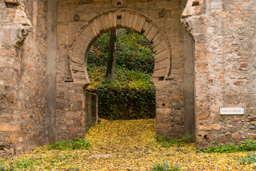 Forest of the Alhambra in Autumn, a special place in Granada (Spain) © Jorge Fuentes