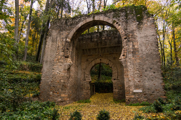 Obraz premium Forest of the Alhambra in Autumn, a special place in Granada (Spain)