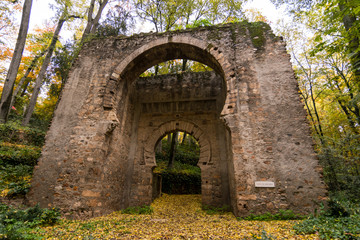 Forest of the Alhambra in Autumn, a special place in Granada (Spain)