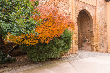 Exterior monument of the Alhambra and Generalife, a special place. Granada (Spain) © Jorge Fuentes